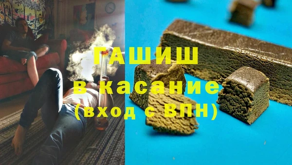 шишки Аркадак